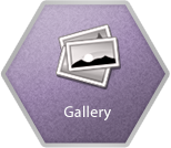 gallery Backend APIs